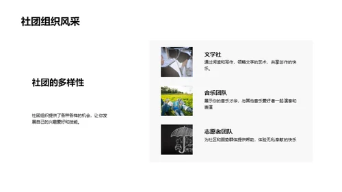 大学生活全景解析