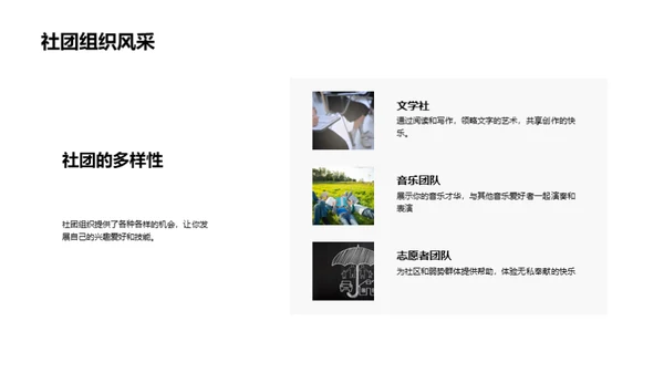 大学生活全景解析