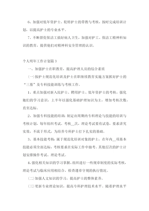 个人明年工作计划.docx