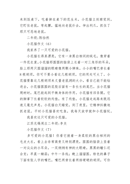 小花猫作文.docx