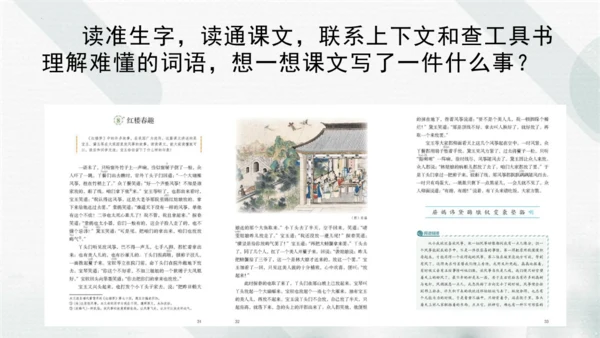 《8.红楼春趣》（课件）