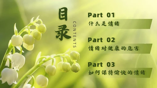 简约风情绪与健康培训PPT模板