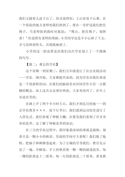 学农作文600字0.docx