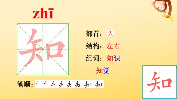 3 植物妈妈有办法  课件