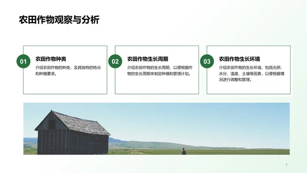 绿色插画农田观察与体验研究报告PPT模板