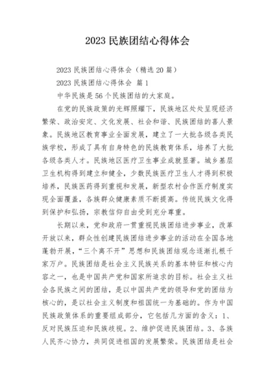 2023民族团结心得体会.docx