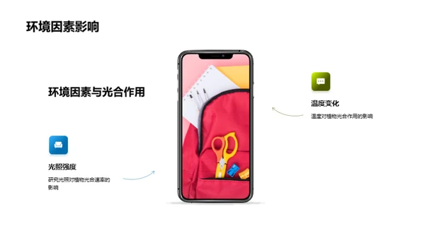 探索植物生长
