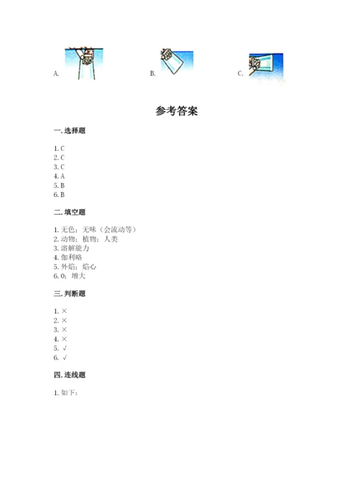 教科版小学三年级上册科学期末测试卷【典优】.docx