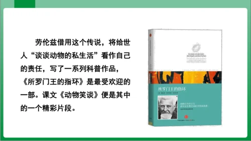 17.动物笑谈（课件）【2023秋人教七上语文高效实用备课】(共33张PPT)