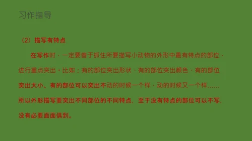 国宝大熊猫语文课教学课件通用PPT模板