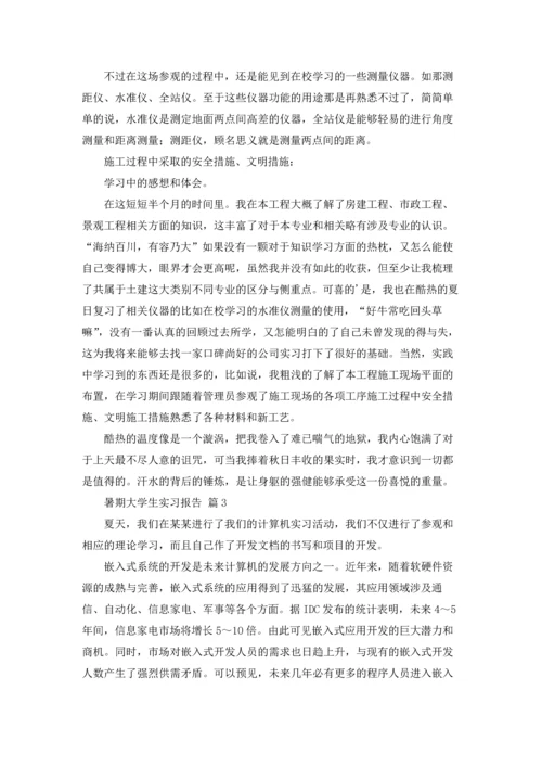 有关暑期大学生实习报告三篇.docx