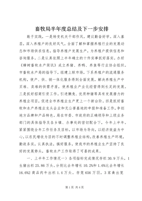 畜牧局半年度总结及下一步安排 (3).docx