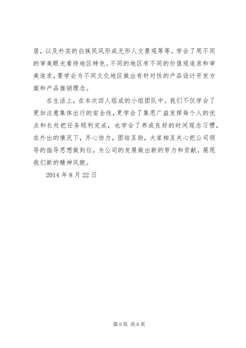 云南大理考察报告.docx