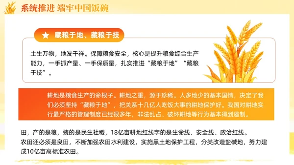 大学生形势与政策保障粮食安全的中国策ppt课件党建