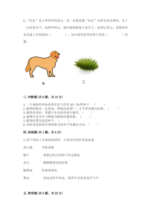 科学四年级下册第一单元《植物的生长变化》测试卷含答案（满分必刷）.docx