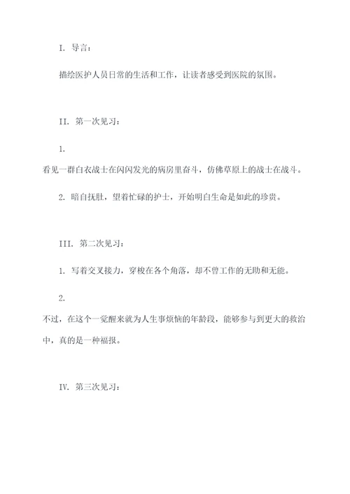 医院见习实践的提纲