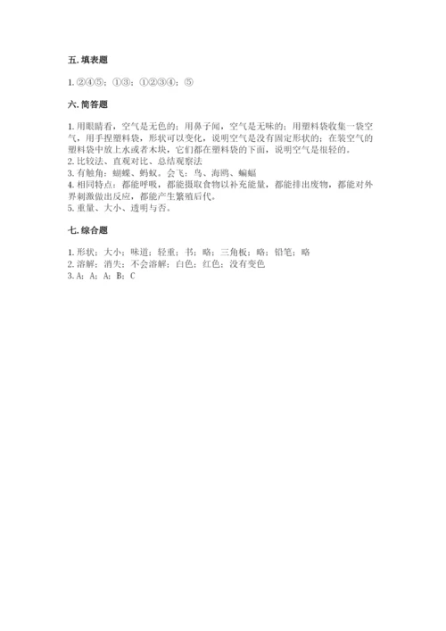 教科版小学科学一年级下册期末测试卷及参考答案（考试直接用）.docx