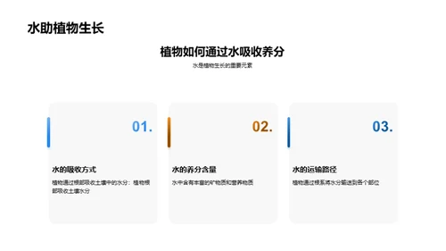 探索科学，点燃梦想