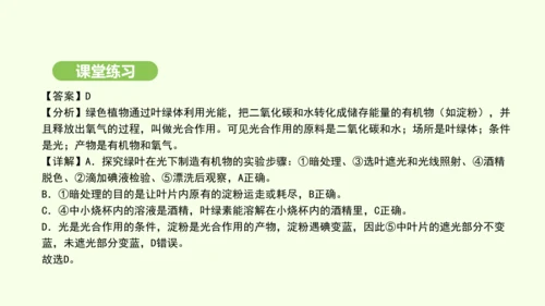 第三单元-第二章-第二节-光合作用-第1课时 绿叶在光下制造有机物课件-2024-2025学年七年级