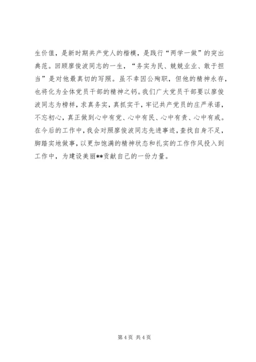 学习廖俊波同志先进事迹心得体会 (11).docx