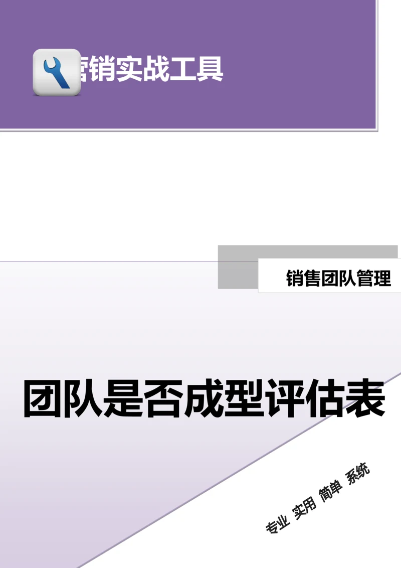 团队是否成型评估表.doc.docx