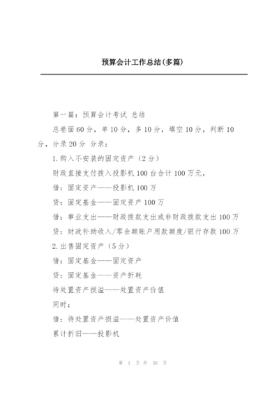 预算会计工作总结(多篇).docx