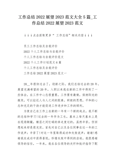 工作总结2022展望2023范文大全5篇_工作总结2022展望2023范文.docx