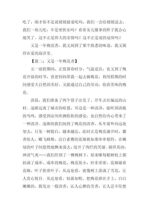 又是一年槐花香作文.docx