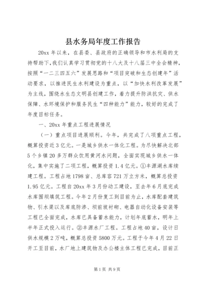 县水务局年度工作报告 (3).docx