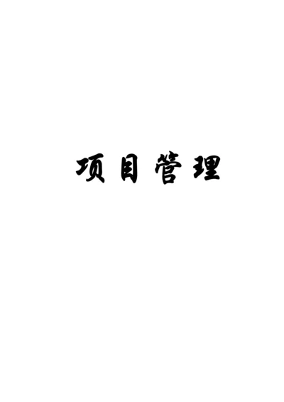 企业项目管理计划的实施.docx