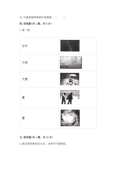 教科版三年级上册科学《期末测试卷》【考点精练】.docx