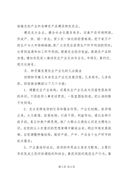 灵璧县农业产业化发展规划 (3).docx