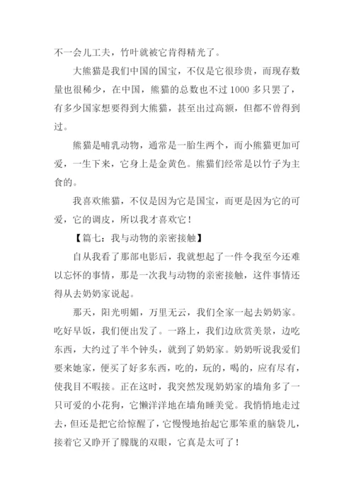 动物作文500字0.docx