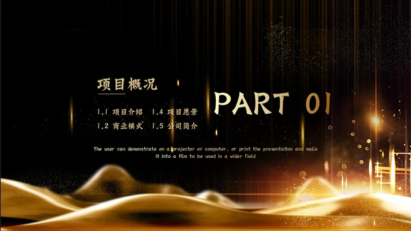金色奢华商业融资计划书通用PPT模板