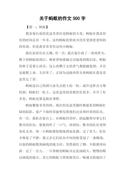 关于蚂蚁的作文500字.docx