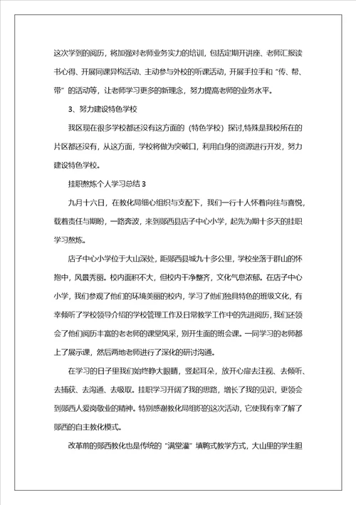 挂职锻炼个人学习总结