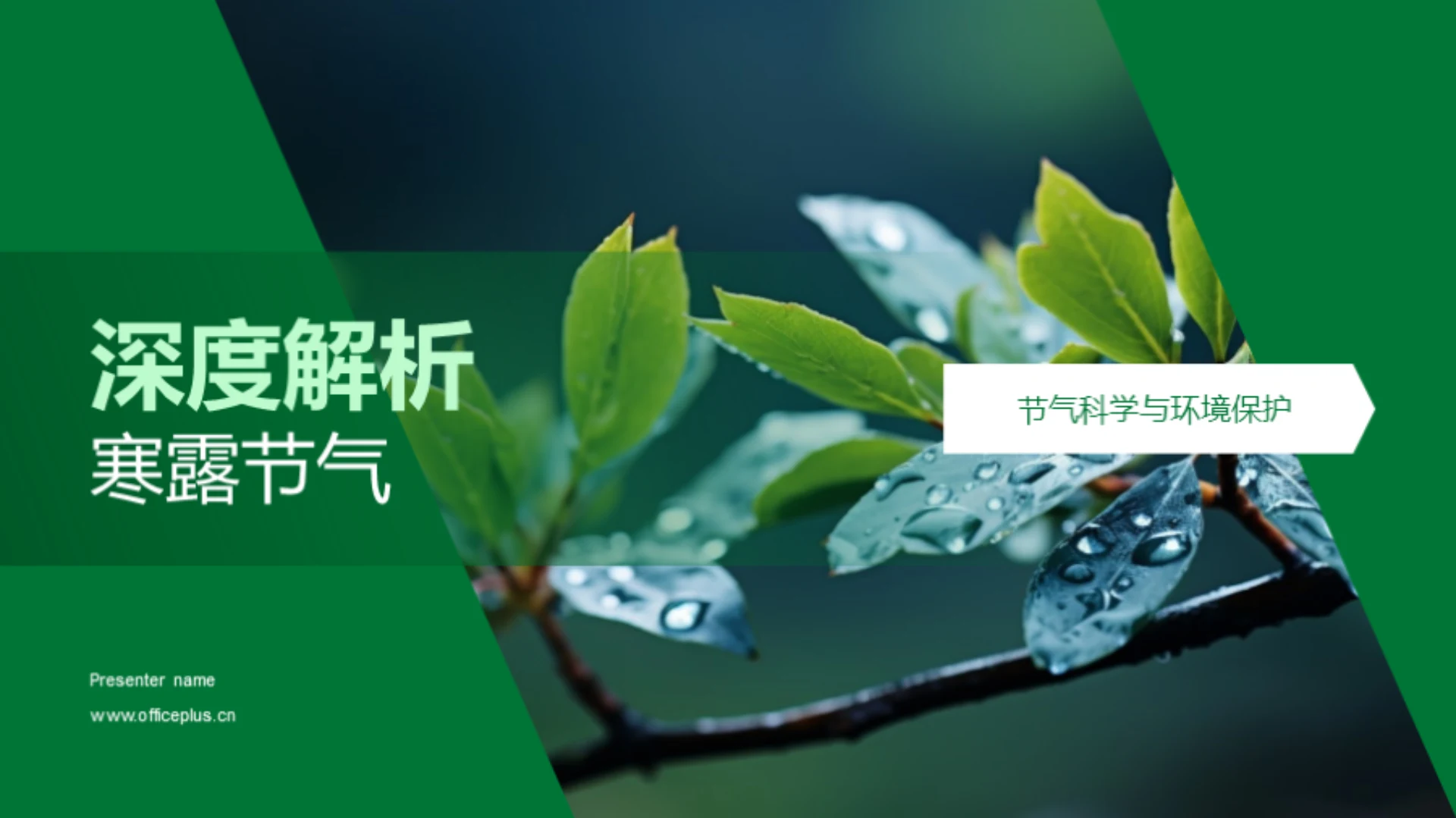 深度解析寒露节气