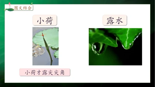 【核心素养】部编版语文一年级下册-11. 古诗二首 第2课时（课件）