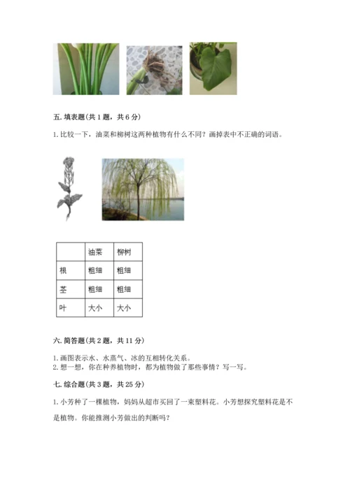 教科版科学一年级上册第一单元《植物》测试卷（突破训练）.docx