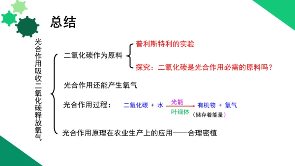 3.5.1 光合作用吸收二氧化碳释放氧气2023-2024学年七年级生物上册精品教学课件（人教版）(