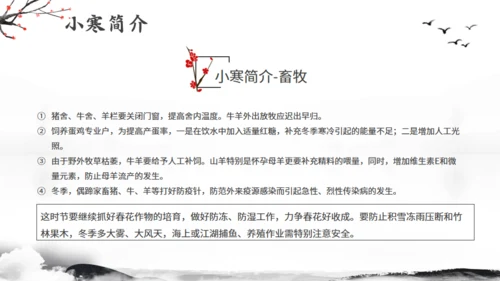小寒节气冬季江雪通用PPT模板