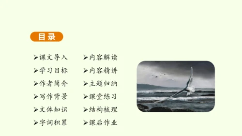 第4课 海燕 课件(共31张PPT)-【课堂无忧】新课标同步核心素养课堂