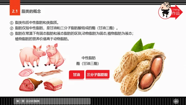 运动营养学通用PPT模板