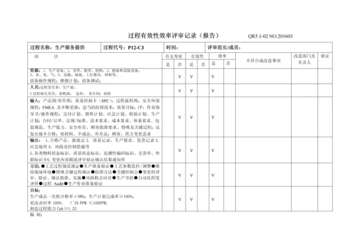 过程有效性效率评审记录.docx