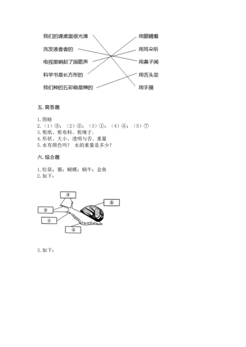 教科版一年级下册科学期末测试卷附答案【达标题】.docx