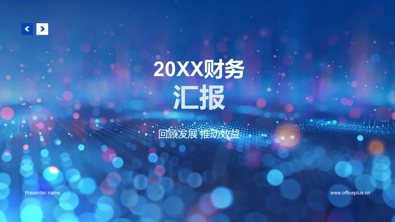 20XX财务汇报