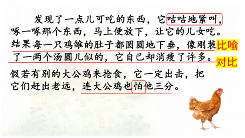 母鸡 第五稿