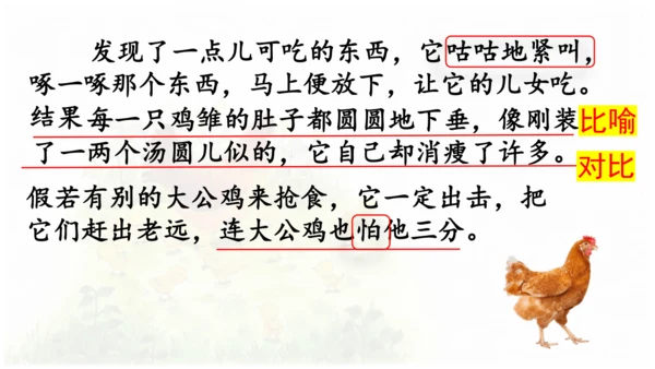 母鸡 第五稿