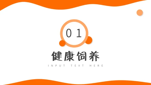 宠物健康饲养专题介绍通用PPT模板