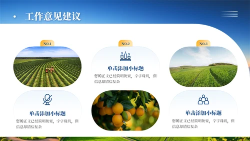 乡村振兴项目工作汇报通用PPT模板